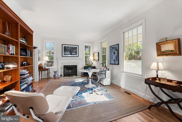 living room with light hardwood / wood-style floors and ornamental molding