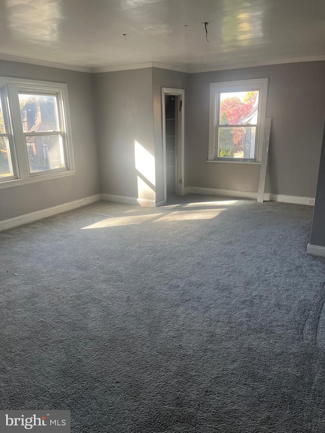 carpeted empty room with crown molding and a wealth of natural light