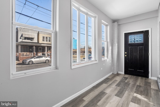 foyer with wood-type flooring