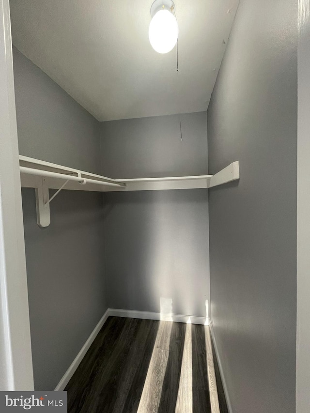 spacious closet with hardwood / wood-style flooring