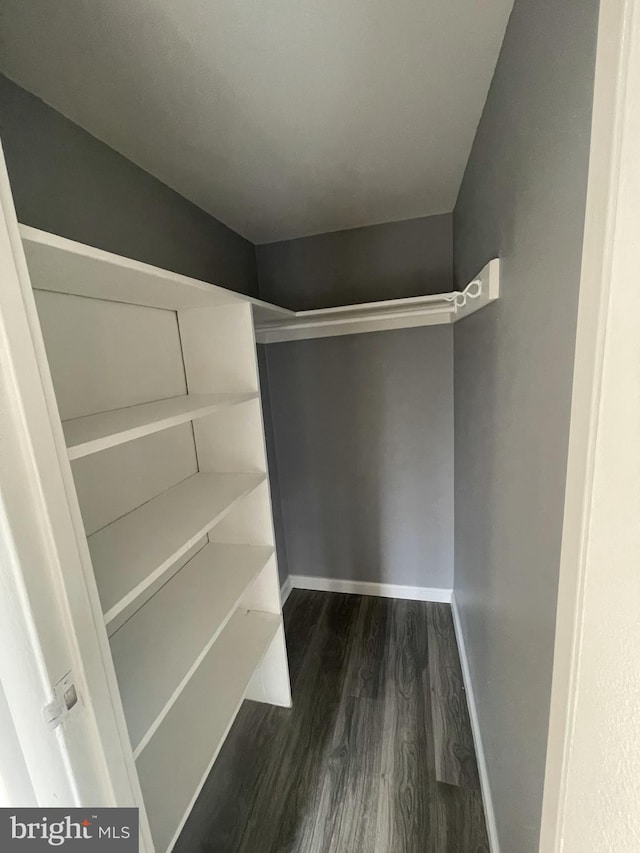 spacious closet featuring dark hardwood / wood-style floors