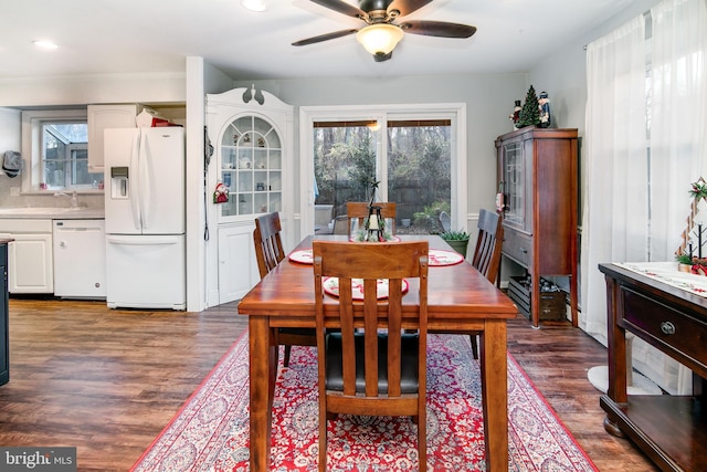 dining area with plenty of natural light, dark wood-type flooring, and ceiling fan