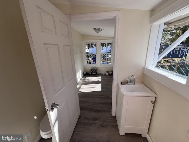 bathroom with wood-type flooring, lofted ceiling, and sink