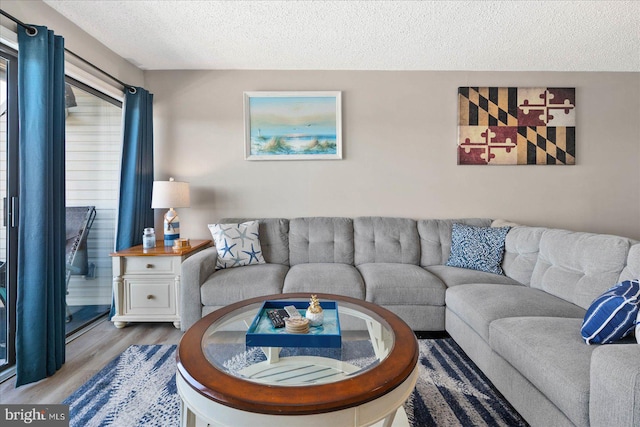 living room featuring light hardwood / wood-style floors and a textured ceiling