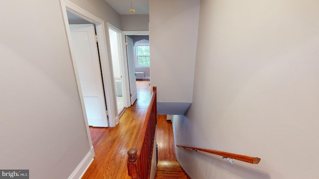 hallway featuring light hardwood / wood-style flooring and radiator heating unit