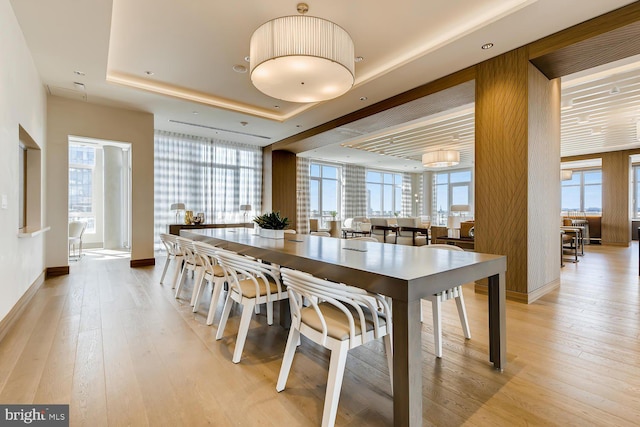 dining space with light hardwood / wood-style floors and a raised ceiling