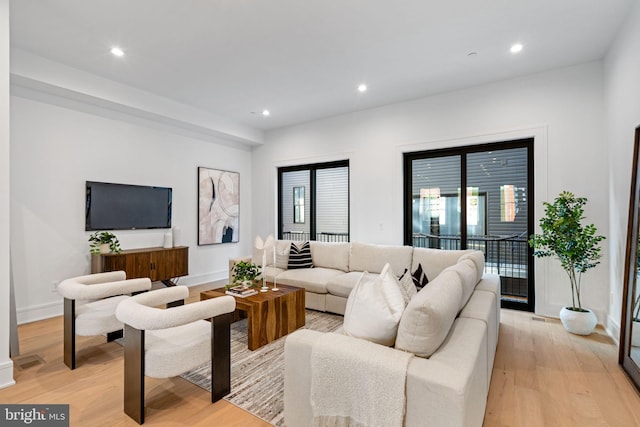 living room with light hardwood / wood-style floors and a healthy amount of sunlight