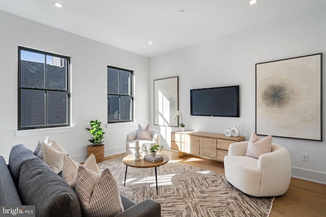 living room with wood-type flooring and a healthy amount of sunlight