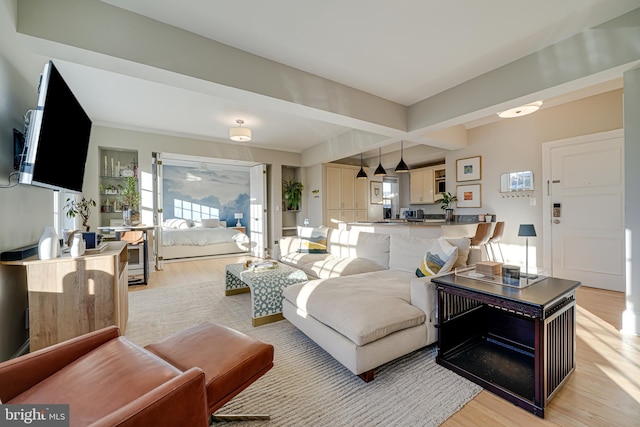 living room with light hardwood / wood-style floors