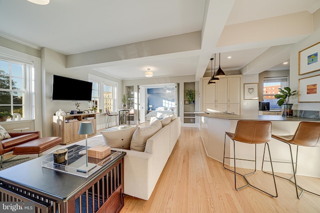 living room with light hardwood / wood-style floors, plenty of natural light, and crown molding