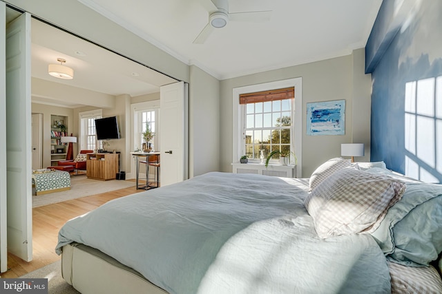 bedroom featuring ceiling fan, multiple windows, crown molding, and light wood-type flooring