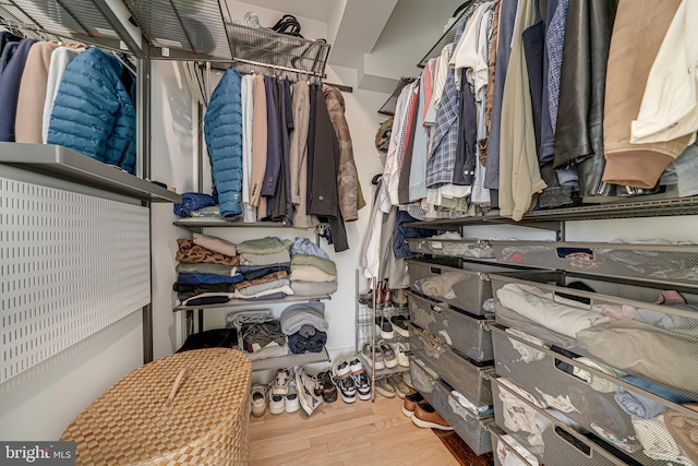 walk in closet with wood-type flooring