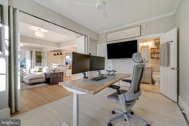 office space featuring ceiling fan, crown molding, and light hardwood / wood-style floors