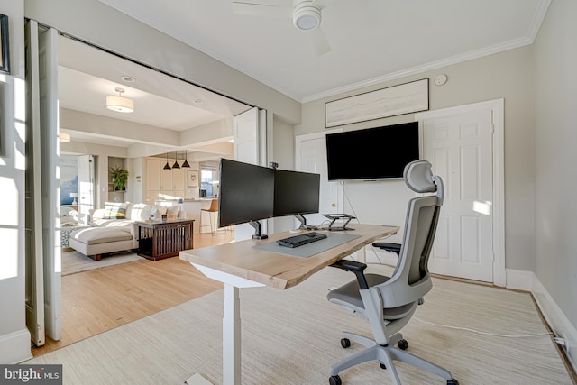 office featuring light wood-type flooring, ceiling fan, and crown molding