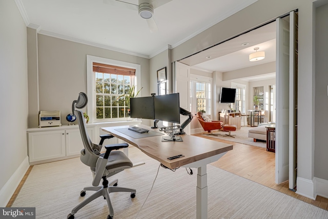 office featuring light hardwood / wood-style floors and crown molding