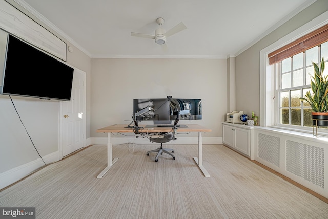 office with ceiling fan, radiator, and ornamental molding