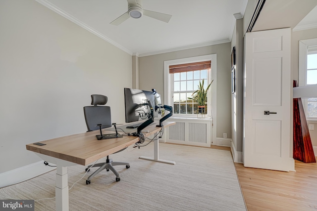 home office with ceiling fan, crown molding, and light hardwood / wood-style flooring