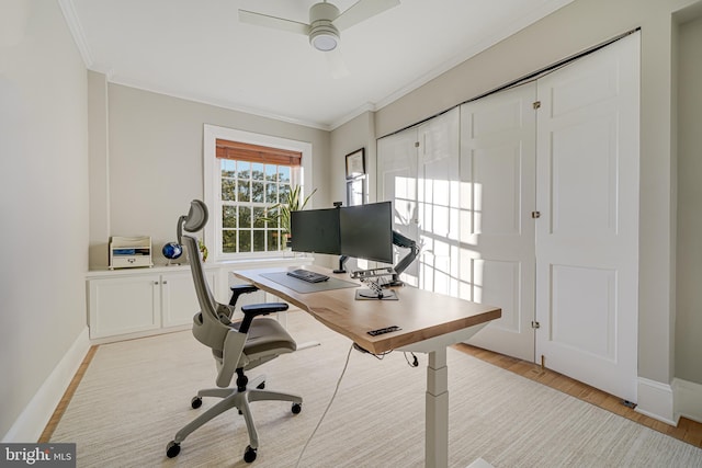 office space with ceiling fan, ornamental molding, and light wood-type flooring