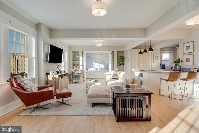 living room with light wood-type flooring