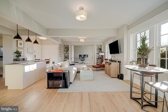 living room featuring light hardwood / wood-style flooring