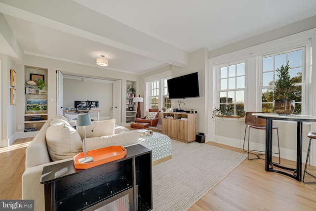 living room featuring light hardwood / wood-style flooring