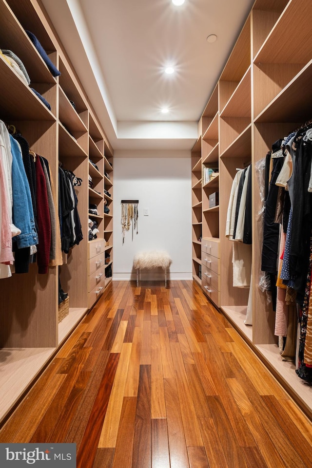 spacious closet with wood-type flooring