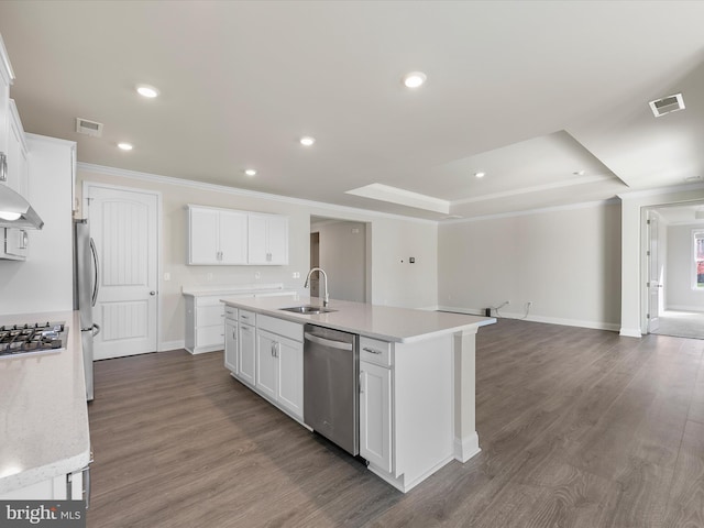 kitchen with white cabinetry, sink, a kitchen island with sink, and stainless steel appliances