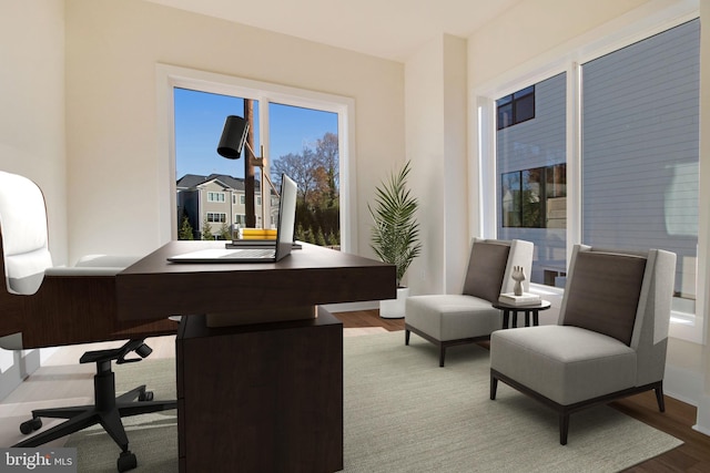 office space featuring hardwood / wood-style flooring