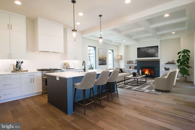 kitchen featuring white cabinets, hardwood / wood-style flooring, an island with sink, and high end stainless steel range