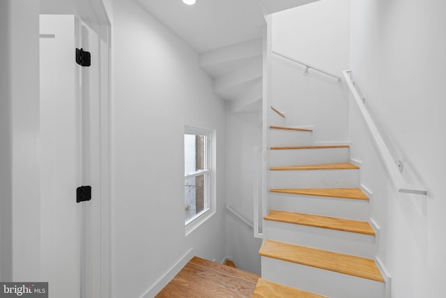 staircase featuring wood-type flooring