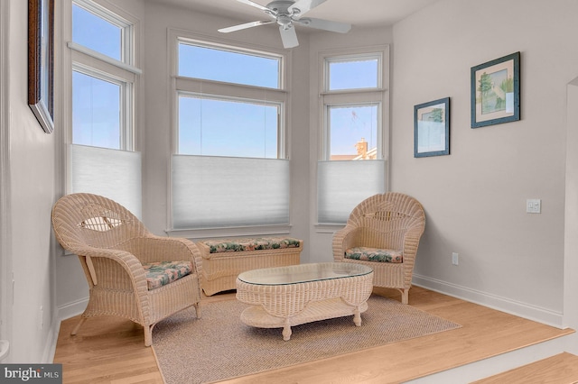 living area featuring hardwood / wood-style flooring and ceiling fan