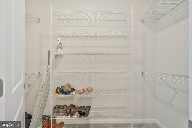 view of walk in closet