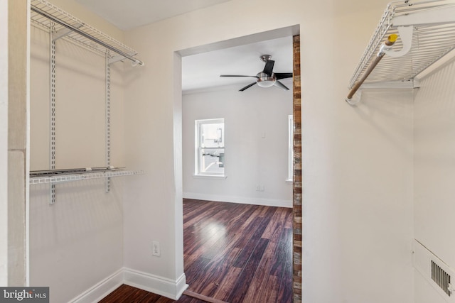 spacious closet featuring dark wood-type flooring and ceiling fan