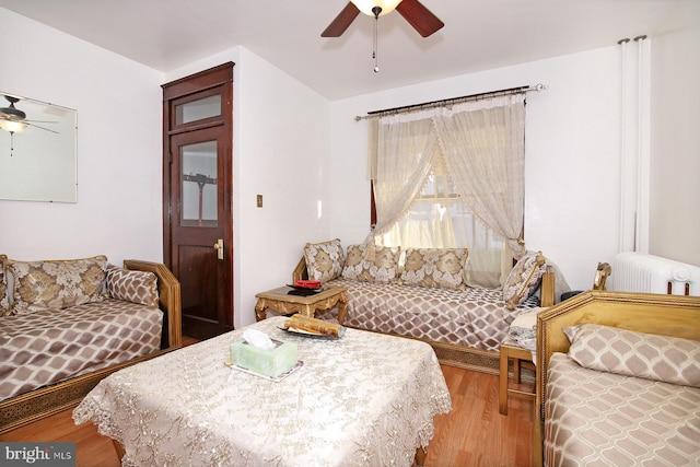 living room with ceiling fan and light hardwood / wood-style floors