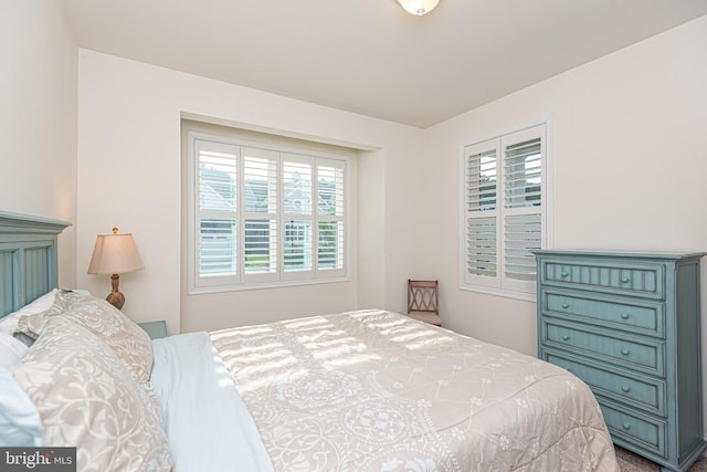 bedroom with multiple windows