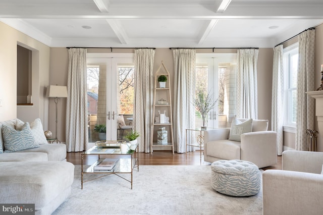 interior space featuring a wealth of natural light, french doors, and wood-type flooring