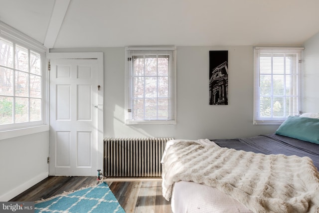 bedroom with multiple windows, radiator heating unit, and dark hardwood / wood-style floors