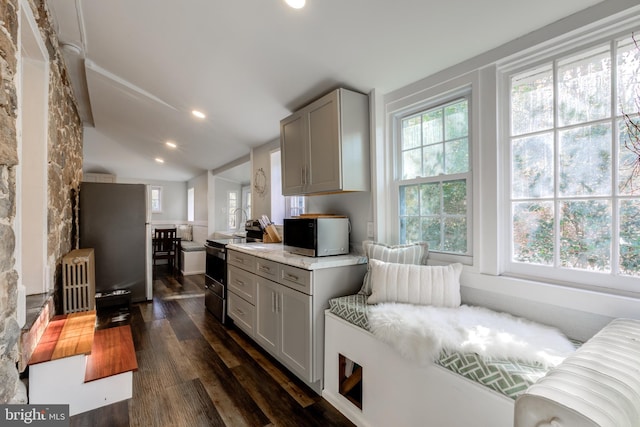 kitchen with gray cabinets, a wealth of natural light, lofted ceiling, and appliances with stainless steel finishes