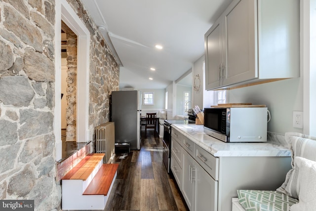 kitchen with radiator heating unit, stainless steel appliances, dark hardwood / wood-style floors, and gray cabinetry