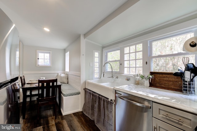 kitchen with appliances with stainless steel finishes, light stone counters, vaulted ceiling, dark wood-type flooring, and sink