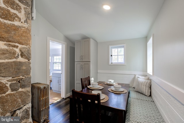 dining room with radiator heating unit, dark hardwood / wood-style floors, and vaulted ceiling