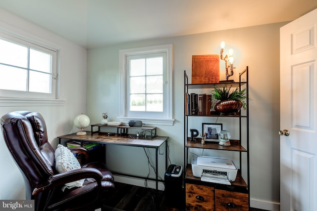 office space with dark hardwood / wood-style flooring