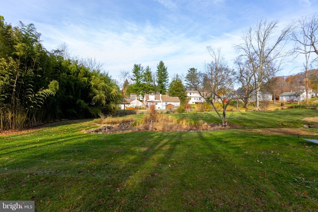 view of yard