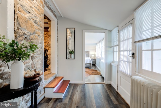 interior space with lofted ceiling, radiator heating unit, dark wood-type flooring, and a wealth of natural light