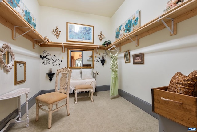 sitting room featuring carpet floors