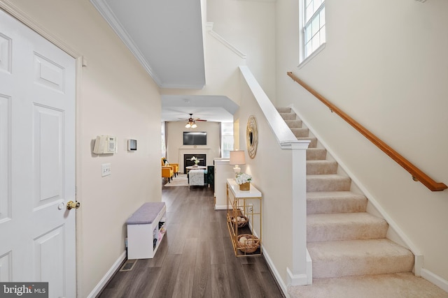 staircase with ceiling fan, hardwood / wood-style flooring, and ornamental molding