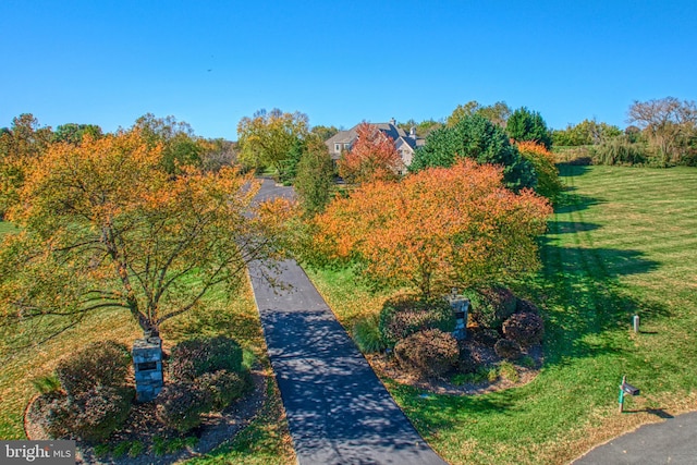 drone / aerial view