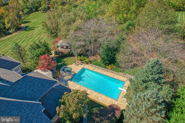 view of pool featuring a diving board and a patio