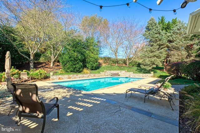 view of swimming pool with a patio