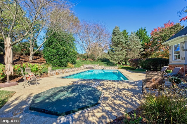 view of pool featuring a patio